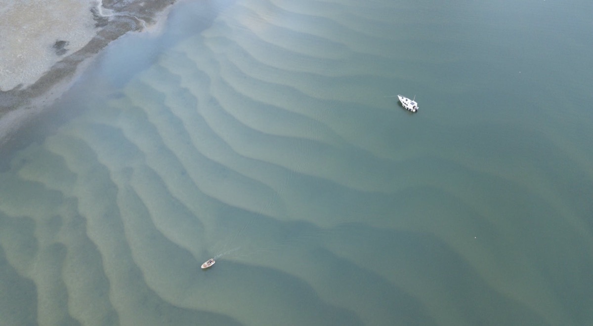 Bribie & Attractions 7