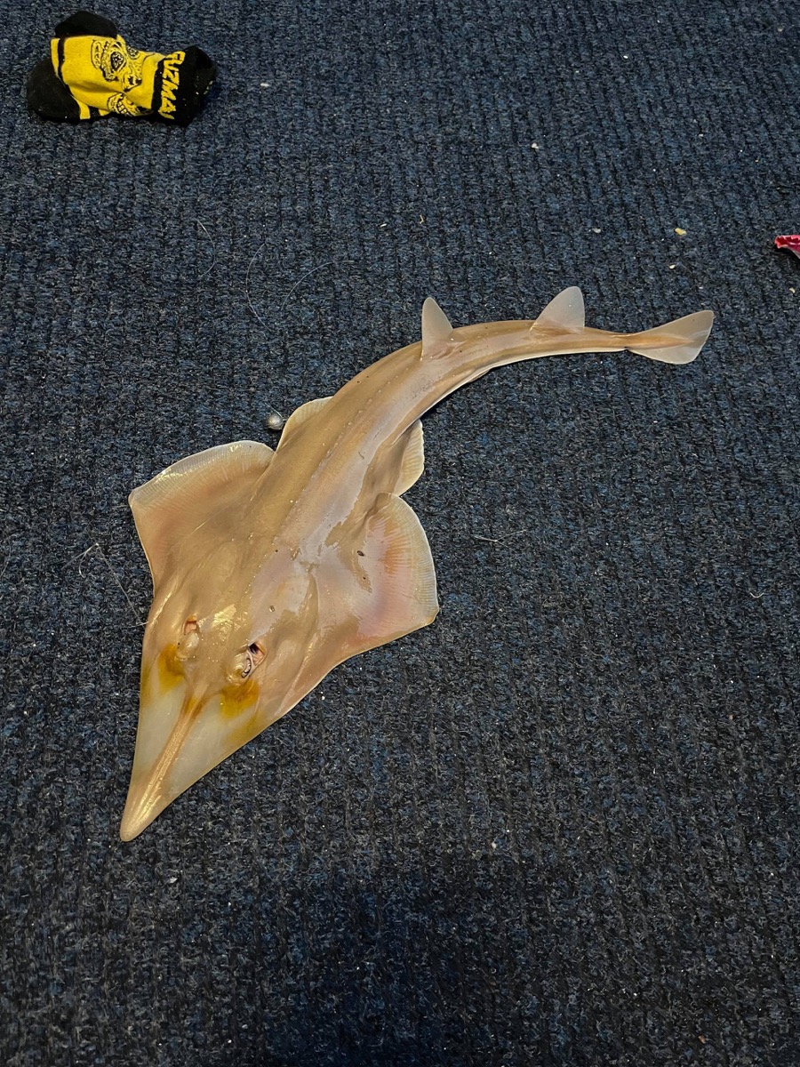 Bribie & Attractions 70